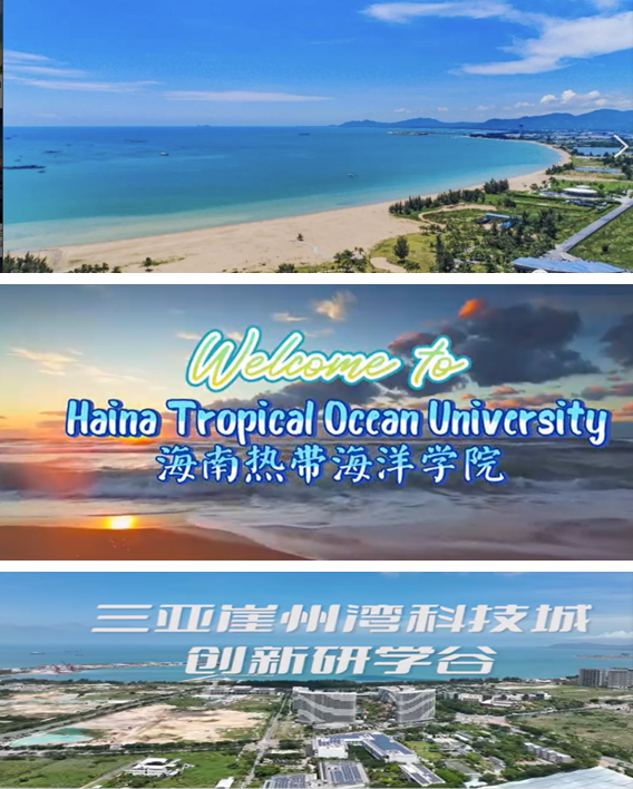 微信图片_20250515091823.png